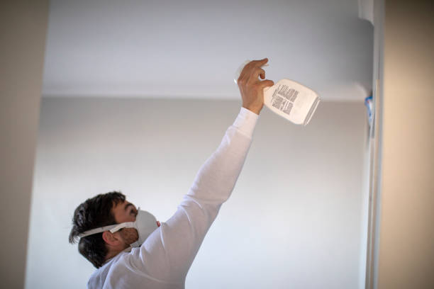 Best Mold Damage Repair  in Pioche, NV