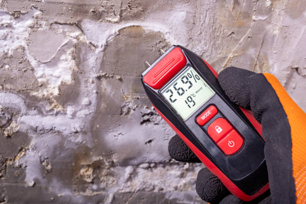 Best Toxic Mold Removal  in Pioche, NV